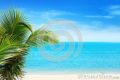 Beautiful white sand beach, blue sea water, clouds background, green palm tree leaves close up, vacation on exotic tropical island Stock Photo