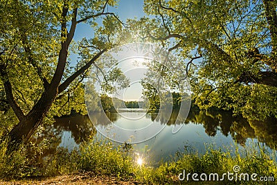 Beautiful wide-angle summer sunny landscape of russian nature with green trees and pond with sunlight Stock Photo