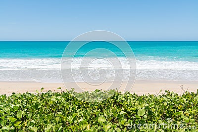 Beautiful wide open Cable Beach with its pristine turquoise coloured water Editorial Stock Photo