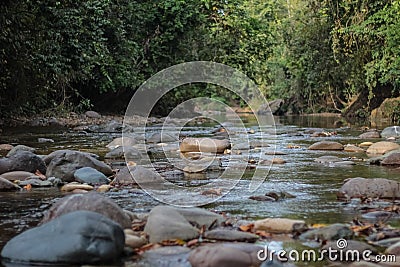 Beautiful river in venezuela Stock Photo