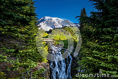 Beautiful wildflowers and Mount Rainier, Washington state Stock Photo