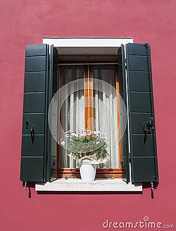 Beautiful window with shutters and a bouquet of daisies in a vase on the windowsill in one of the houses on the island of Burano. Stock Photo