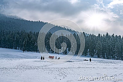 Beautiful winter landscape of Baisaran valley Stock Photo