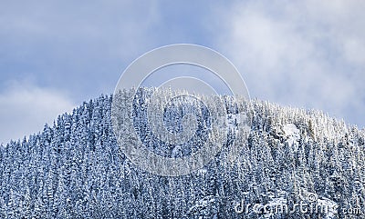 Beautiful winter landscape with snow covered trees. Fantastic winter landscape with spruce forest. Dramatic overcast sky Stock Photo
