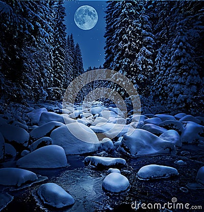 Beautiful winter night Stock Photo