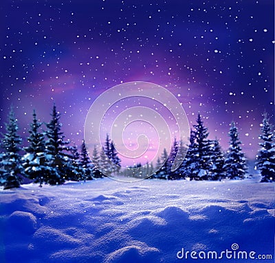 Beautiful winter night landscape with snow covered trees.Christ Stock Photo