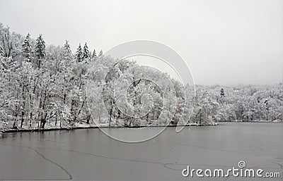 Beautiful winter scenery of the Bear Lake in the Sovata resort, Romania with trees covered by snow Stock Photo