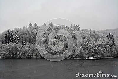 Beautiful winter scenery of the Bear Lake in the Sovata resort, Romania with trees covered by snow Stock Photo