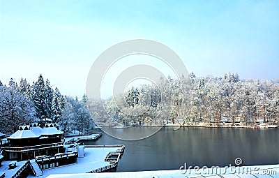 Beautiful winter scenery of the Bear Lake in the Sovata resort, Romania with trees covered by snow Stock Photo