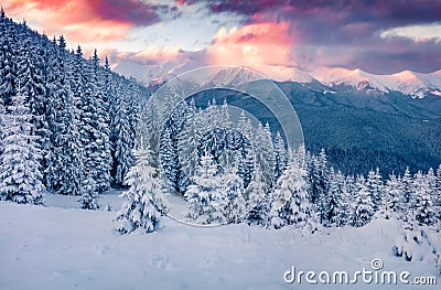 Unbelievable sunrise in Carpathian mountains. Stock Photo