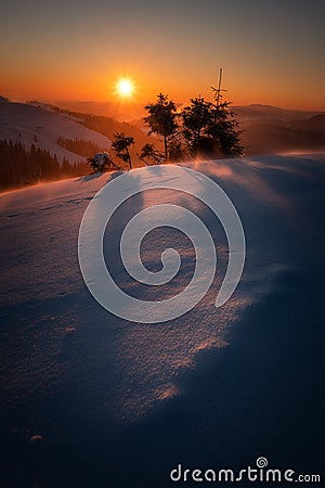 Beautiful winter sunrise in the mountains during a blizzard with some small pine trees on a ridge Stock Photo