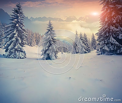 Beautiful winter sunrise in the mountains. Stock Photo