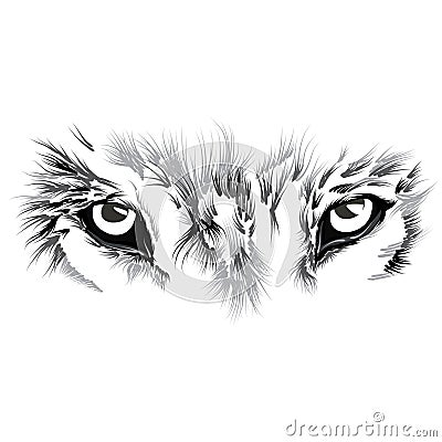 Beautiful Wolf face Vector Illustration