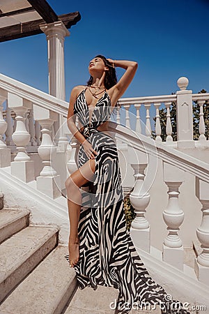 beautiful woman with dark hair in elegnt dress with zebra print posing in beach club Stock Photo