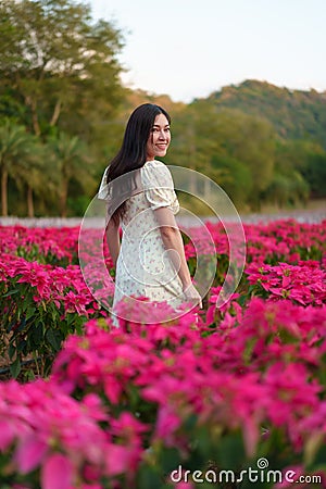 beautiful woman in dress enjoying blooming poinsettia (traditional Christmas flower) field Stock Photo