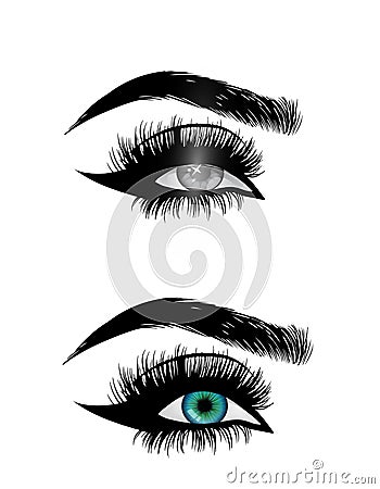 Beautiful woman eyes close-up, thick long eyelashes, black and white vector Vector Illustration