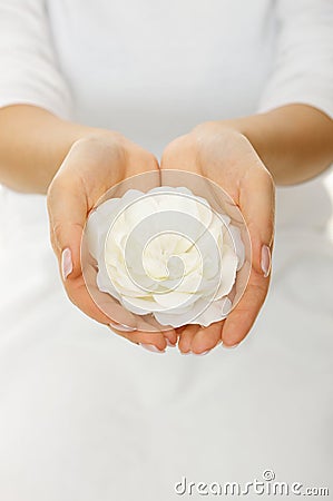 Beautiful woman hands with white gardenia Stock Photo