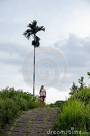 Beautiful woman hiking on famous tiles path surrounded by rice fields and a palm in Bali & x28;Indonesia Stock Photo