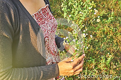 Beautiful woman is holding the tiny flowers in her hand. Stock Photo