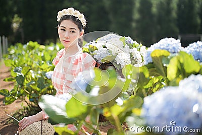 Beautiful woman in the flower garden Stock Photo