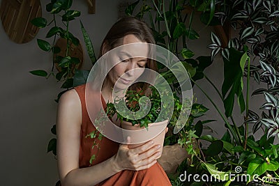 Beautiful woman in orange clothes takes care Ficus blossoms against backdrop Stock Photo
