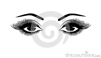Beautiful woman`s eyes close-up, thick long eyelashes, black and white vector illustration Vector Illustration