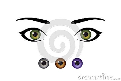 Beautiful woman`s eyes and realistic irises of different colors Vector Illustration