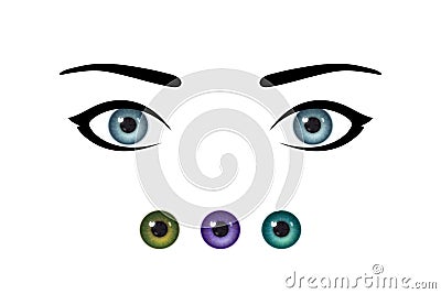 Beautiful woman`s eyes and realistic irises of different colors Vector Illustration