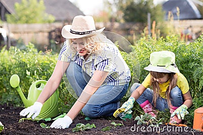 Beautiful woman and chid daughter planting seedlings in bed in domestic garden at summer day. Gardening activity with Stock Photo