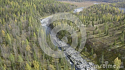 Beautiful wooded area with forest and river in autumn. Clip. Top view of beautiful clear river in wooded area. Forest Stock Photo