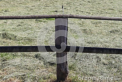 Beautiful wooden horse fence at an agricultural field Stock Photo