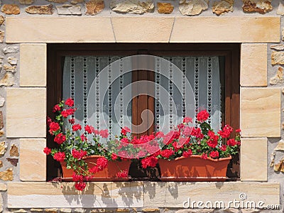 Beautiful wooden window decorated with red flowers of intense colors Stock Photo