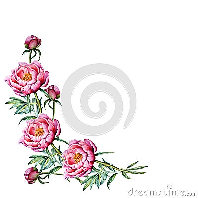 Beautiful wreaths of blossoms and peony flowers. Cartoon Illustration