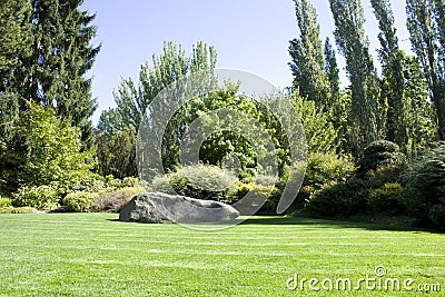 Beautiful yard with lush greenery Stock Photo