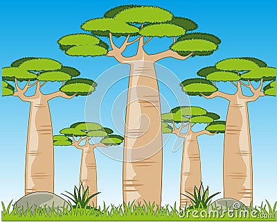 Beautiful year landscape with with tree baobab Cartoon Illustration