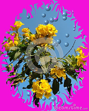 Beautiful yellow flower l and bubbles vector background Stock Photo