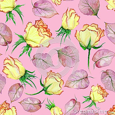 Beautiful yellow and red roses and leaves on pink background. Seamless floral pattern. Watercolor painting. Cartoon Illustration