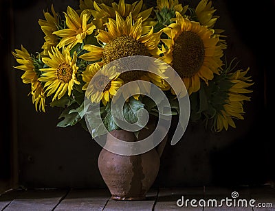 beautiful yellow Sunflower still life bouquet in a clay jug ceramic rustic style oil honey Dark photo background wooden table Stock Photo