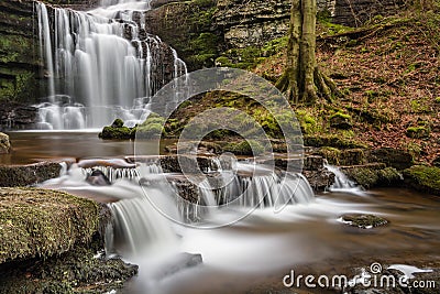 Beautiful Yorkshire Waterfall Scaleber Force In Peaceful Woodland. Stock Photo