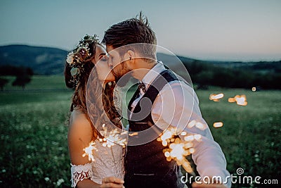 Beautiful bride and groom with sparklers on a meadow. Stock Photo