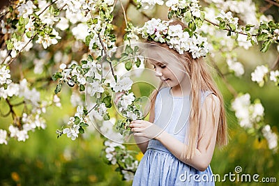 Beautiful young girl in blue dress in the garden with blosoming apple trees. Cute girl holding apple-tree branch Stock Photo
