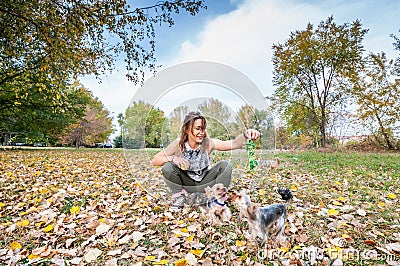 Beautiful young girl with her Yorkshire terrier dog puppy enjoying and playing in the autumn day in the park selective focus Stock Photo