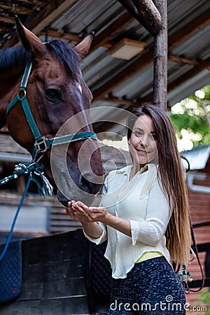 Beautiful young girl looks after her horse in the stable. Stock Photo