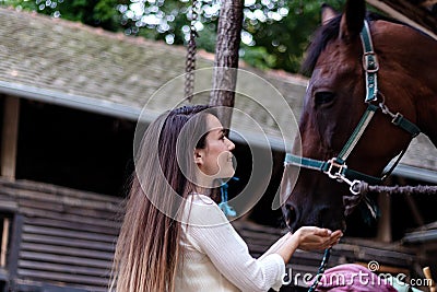 Beautiful young girl looks after her horse in the stable. Stock Photo