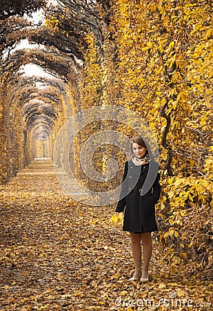 Beautiful young girl in a mysterious autumn park Stock Photo