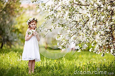 Beautiful young girl in white dress in the garden with blosoming apple trees. Cute girl holding apple-tree branch Stock Photo