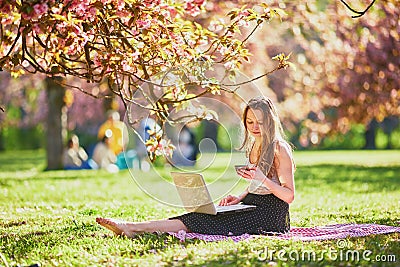 Beautiful young girl working on her laptop in park during cherry blossom season Stock Photo