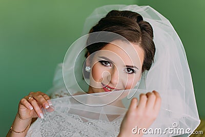 Beautiful young playful bride hiding her face behind veil Stock Photo