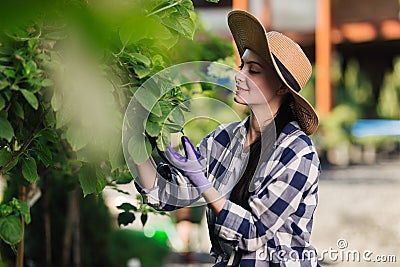 Beautiful young woman in checkered shirt and straw hat gardening outside at summer day Stock Photo