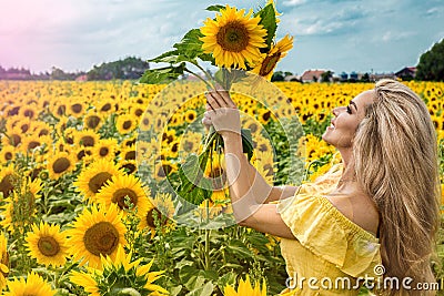 Beautiful young woman in a field of sunflowers in a yellow dress Stock Photo